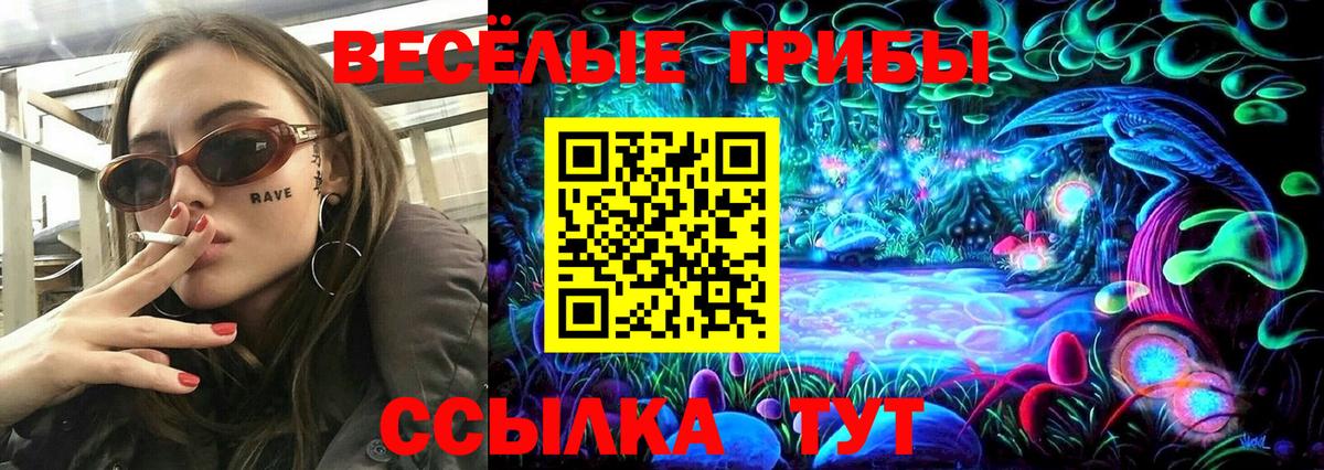Галлюциногенные грибы Psilocybine cubensis Лесозаводск