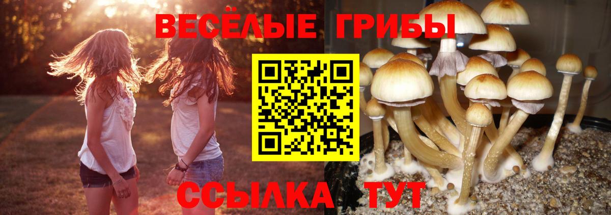Псилоцибиновые грибы ЛСД  Псилоцибиновые грибы мицелий  Вход с VPN  Лесозаводск 